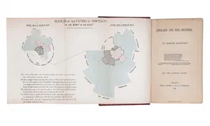 Florence Nightingale Chart in her data journal