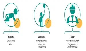 diagram of different stages of maturity