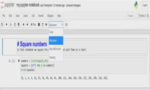 A markdown cell in Jupyter notebooks