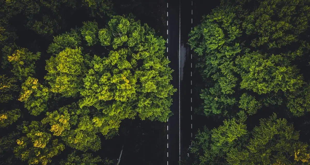 Nightingale HQ supports Green Freight with FLS Logistics