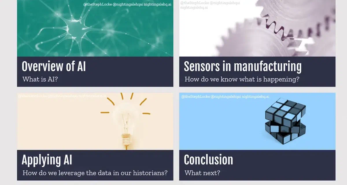 The Historian and AI Webinar (AIFightsBack)