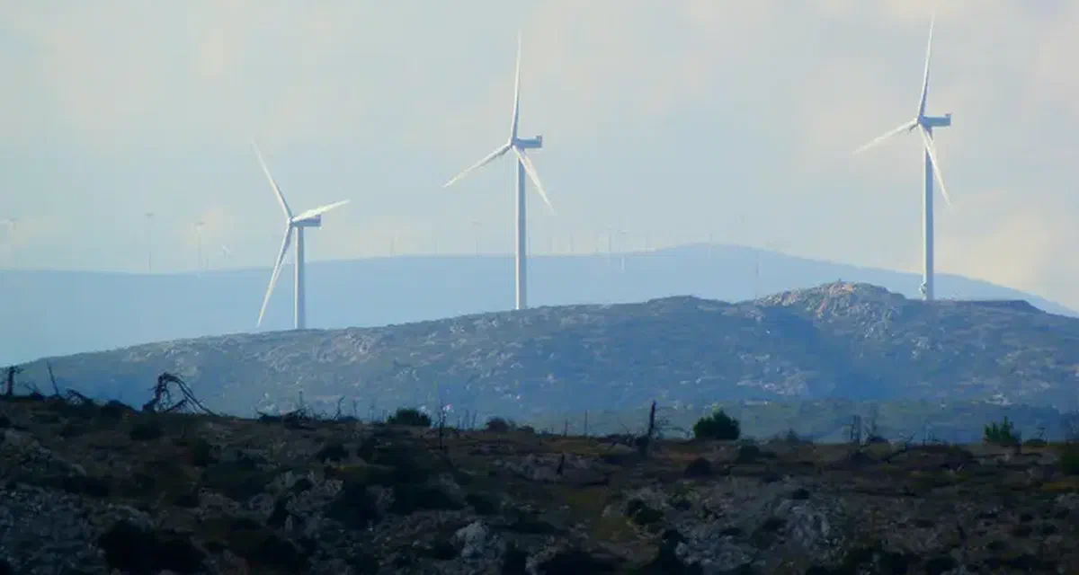 Upskilling for the green revolution