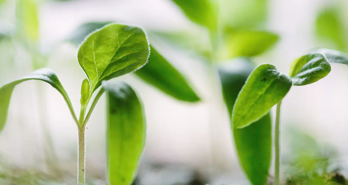 Helping Manufacturers Grow through Digitalisation - Case Studies