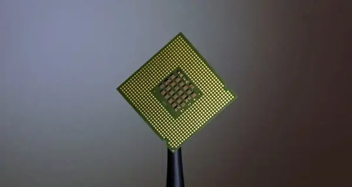 What are long-range, low-power sensor networks?