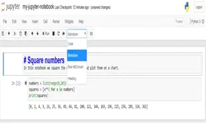 A markdown cell in Jupyter notebooks
