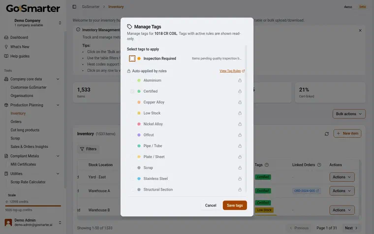 GoSmarter Manage Tags dialog showing manual tags alongside tags applied automatically by rule