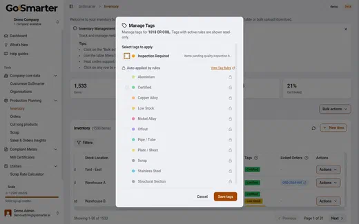 GoSmarter Manage Tags dialog showing manual tags alongside tags applied automatically by rule