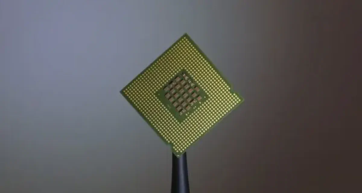 What are long-range, low-power sensor networks?