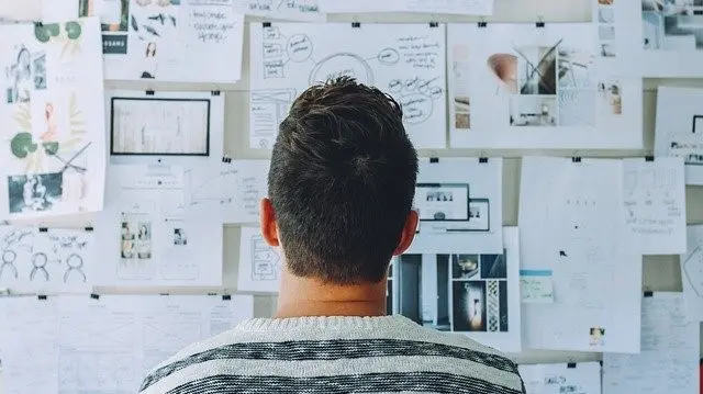 Person looking at a wall of printouts organised for a project